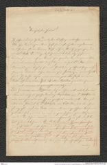 Nachlass Franz Steindachner, Brief von Ludwig Redtenbacher an Franz Steindachner (28.07.1873), Inv.Nr. 414.01, Seite 1